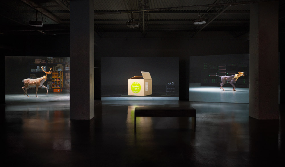 three channel Contemporary Art Video installation in museum space